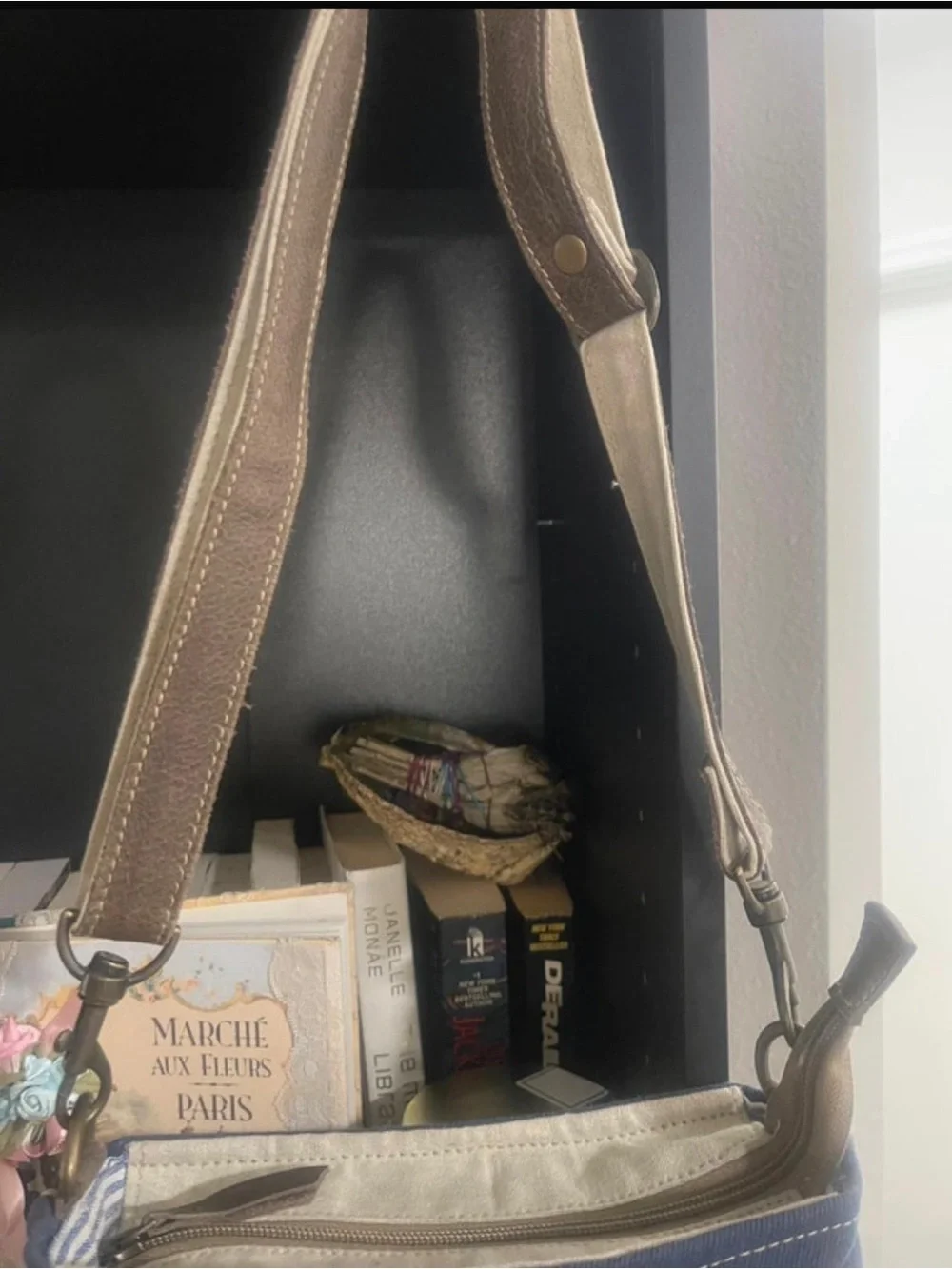 Clea Ray Canvas Crossbody Bag with Bicycle Print - Blue & Cream